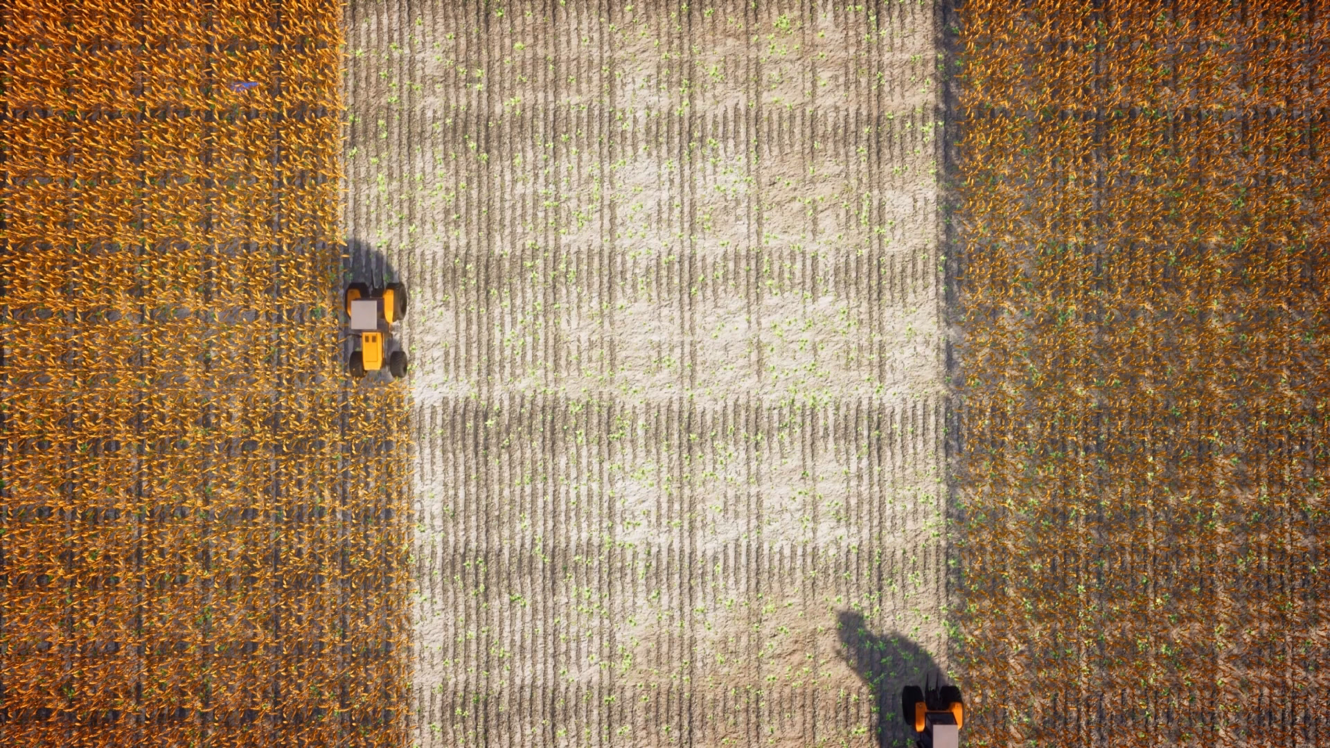 Reseed