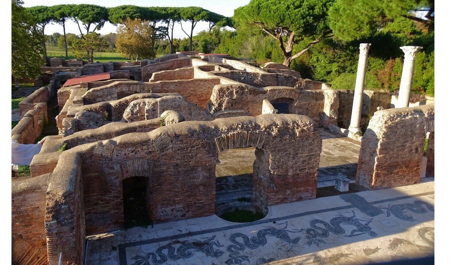 Brick insula ruins from above